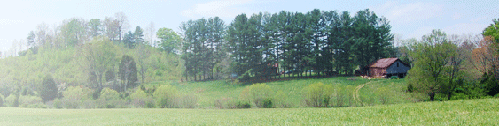 Summit Springs Shooting Sports